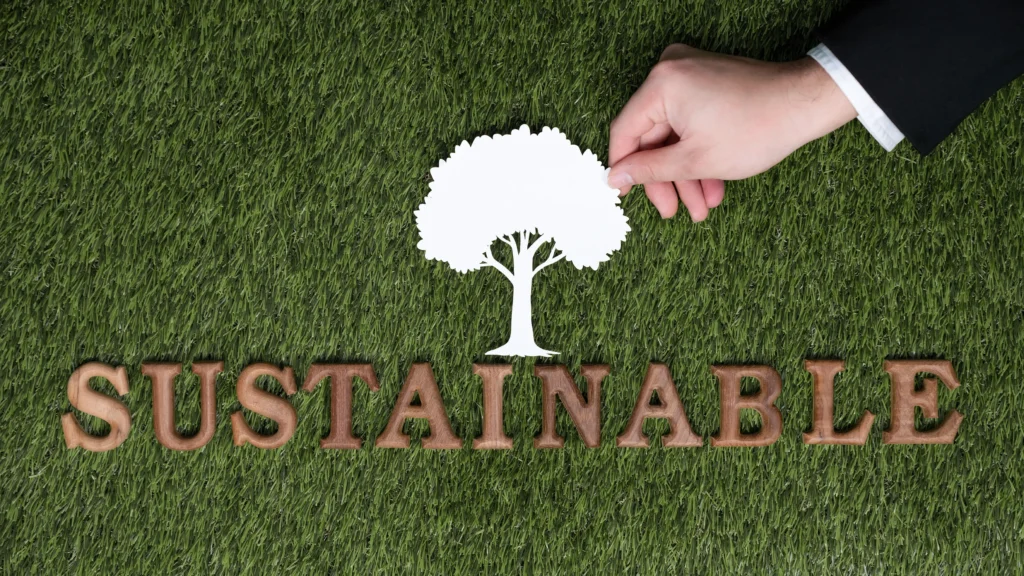 Sostenibilidad y productos Eco Friendly en VeraOliva