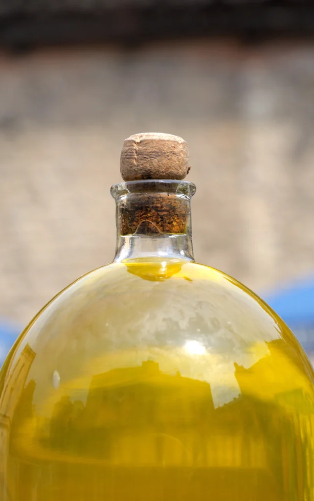 Alimento y filosofía Vera Oliva